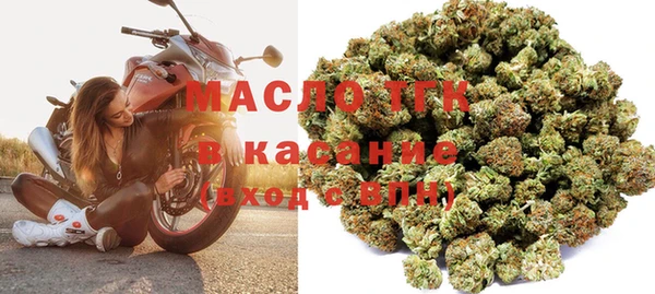 СК Алексин