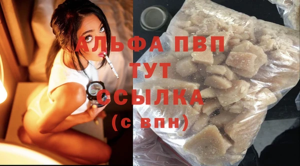 СК Алексин
