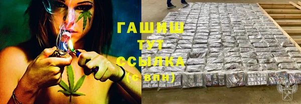 СК Алексин
