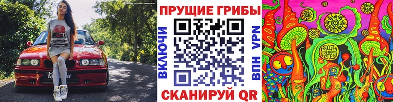 Псилоцибиновые грибы мухоморы  где найти   shop как зайти  Ермолино 